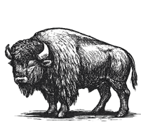 Bison icon - bison meats available for delivery in omaha, nebraska