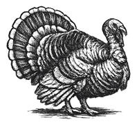 Turkey icon - pasture raised, heritage turkey